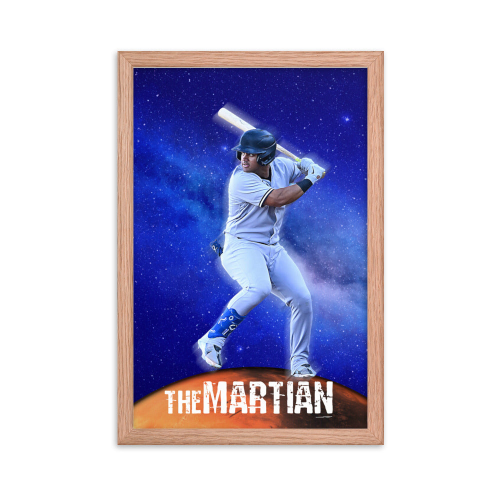The Martian Framed poster